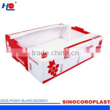 PP Boxes And Packaging For Fruit
