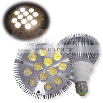 LED decorative spotlight