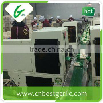 China Supplier Dried Fresh Enoki Mushroom photo-5