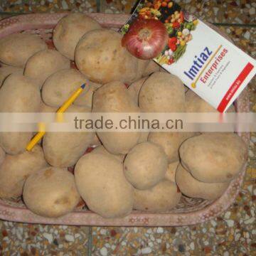 Potato from Pakistan