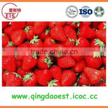 15-25mm For Sale Bulk Fresh Strawberry photo-5