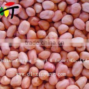 Wholeslae Groundnut Salted Chinese Roasted Red Skin Peanuts photo-3