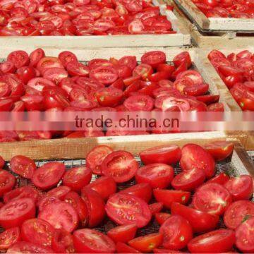 Hot Selling Sun Dried Tomotoes for Buyer photo-5
