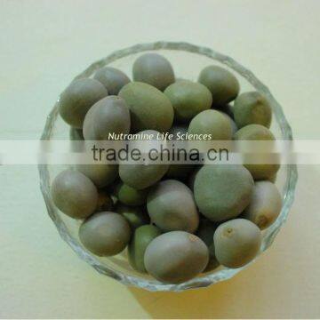 CAESALPINIA BONDUCELLA photo-2