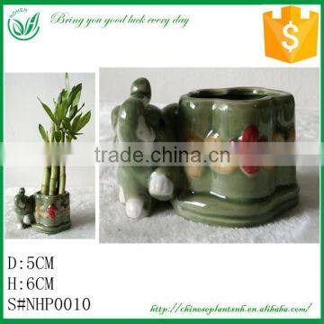 Lucky Bamboo Animal Shape Flower Pot