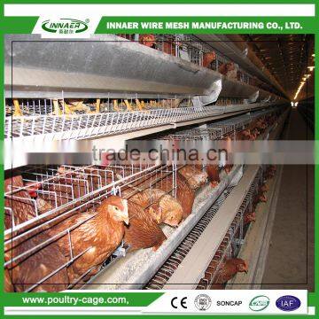 4-5 chicken per nest broiler cage