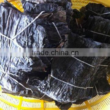 Hottest kelp seaweed,Kelp raw material,Dried Kelp,dried laminaria,dried sea kelp