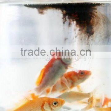 Feed Additives for Livestock Poultry photo-5