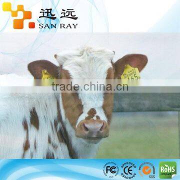 RFID Livestock Ear Tag for Farm Animal Management