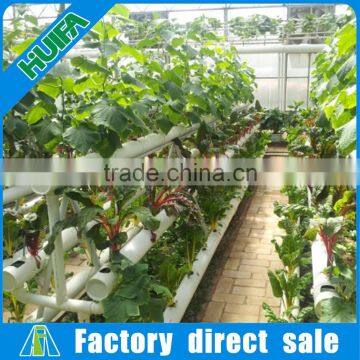 Full Set High-yield Vertical Hydroponic Growing System for Lettuce, Spinach photo-6
