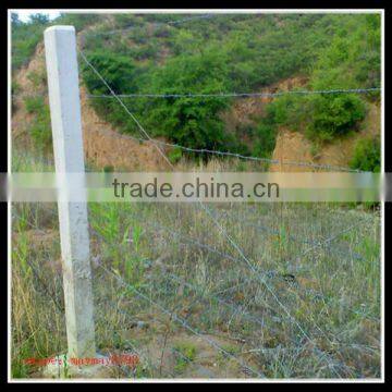 Double stands barbed wire/Hot dipped Galvanized barbed wire