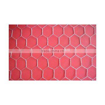 hexagonal wire mesh