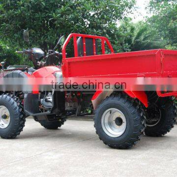 150-200cc Automatic Sport Farm Equipment Atv photo-5