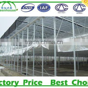 Commercial 200 Micron Greenhouse Film photo-2