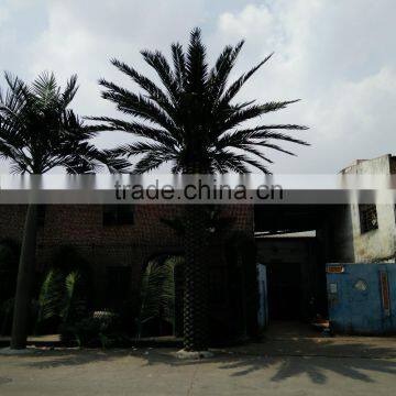 Hot Sale Dubai Artificial Tall Palm Tree photo-2