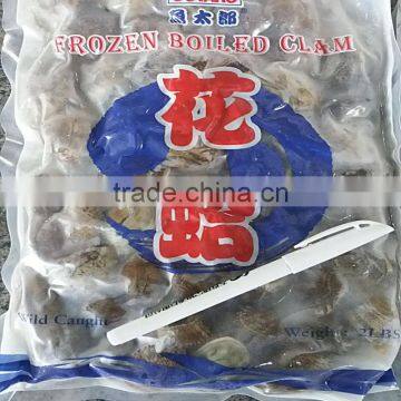 Frozen Boiled Short Necked Clam Size 21-30