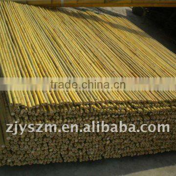 natural bamboo pole fence