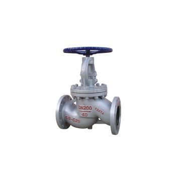 Globe Valve