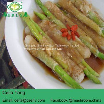 Wild Growing Mushroom Bamboo Fungus Tasty Dictyophora photo-4