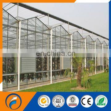 Multi-span Glass Greenhouse