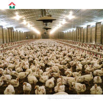 Poultry Farm Design With Bird Cage for Layers photo-4