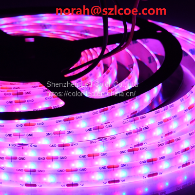 DC5V RGBIC COB 1008leds /m addressable no dark spots Magic colorful  cob strip light