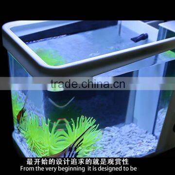 Latest Model DIY Mini Aquarium Fish Tank With CE Rohs photo-3