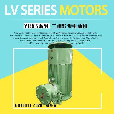 ATEX-Certified Flameproof Three-Phase Asynchronous AC Motor photo-5