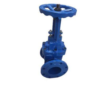 Anti-Theft BS Rising Stem Gate Valve With Protective Cover, Dust and Water Resistant Design photo-2