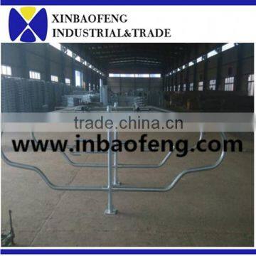 Galvanized Cow Cubics Cattle Loops Livestock Farm photo-2