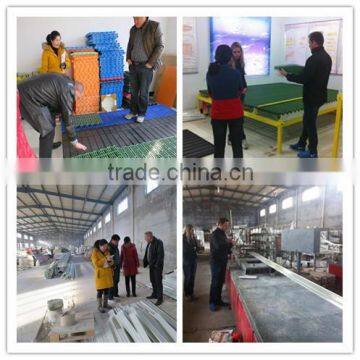 Pultrusion Frp i Beam Steel / FRP Profile/FRP Beam for Pig/poultry House/pig Farming Equipments photo-3