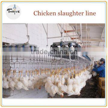 A whole line for chicken killing machine/stainless steel machine for killing chicken