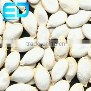 White Pumpkin Seeds from China, Wholesale Pumpkin Seeds, Seed Pumpkin