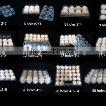 Disbosable Clamshell Blister plastic egg tray 6 holes