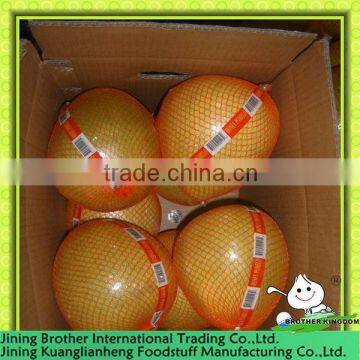 China yellow honey pomelo
