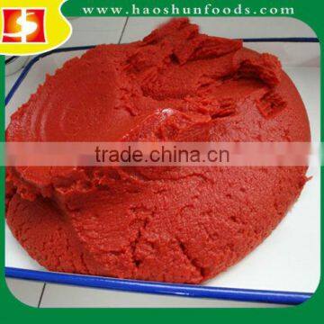 Tomato Paste Factory