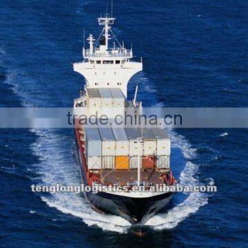 Sea logistics shipping to Itajai Santos of Brazil from Ningbo Shanghai