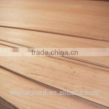 commercial plywood/packing plywood/pine plywood/shuttering plywood