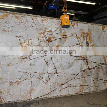 Pertrified wood slab