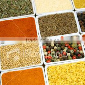 Spices and herbs in sachet package