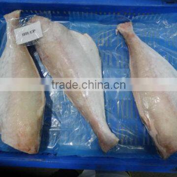 FROZEN LEATHER JACKET HGT photo-2