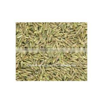 Suppliers of Natural Cumin seed Oil