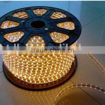 AC 110V/ 220V SMD 5050 Flexible Led Strip Light 60LEDs Waterproof IP65 Logo for Led Strip photo-3