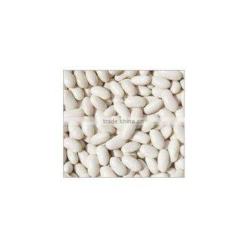 White Kidney Beans Long shape