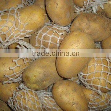 new crop potato