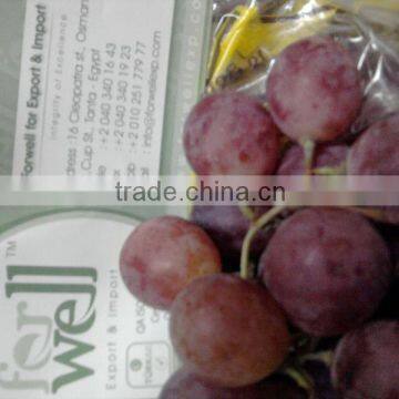 Fresh grapes crops 2015