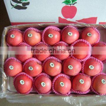 Hot sale fuji apple