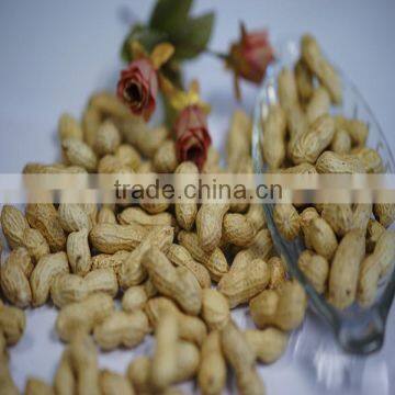 2013 cheap price,top quality peanut in shell,peanut groundnut in shell