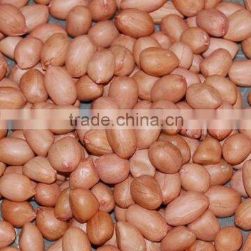 GROUNDNUT KERNEL