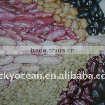 Kinds of Beans 2015 Crop